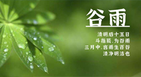 【二十四節(jié)氣灸】谷雨時(shí)節(jié)，用艾為您的健康加上一道保險(xiǎn)！