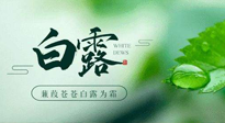 【二十四節(jié)氣灸】白露涼爽，養(yǎng)心肝脾胃、滋陰潤(rùn)肺是關(guān)鍵！