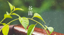 【二十四節(jié)氣灸】谷雨節(jié)氣脾土濕，艾灸降濕濁，脾旺不受邪！